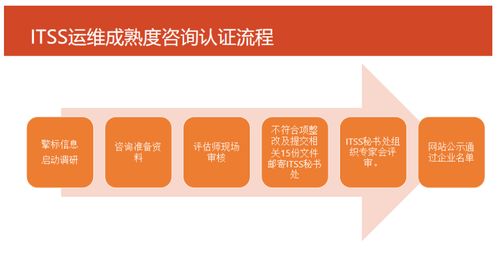 ITSS信息技術(shù)服務(wù)標(biāo)準(zhǔn)知識大全 信息技術(shù)咨詢服務(wù)詳解